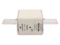 Плавкие вставки (предохранители) АПАТОР WTNH 2 100A, 500В, 100А, gG/gL